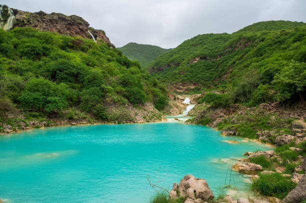 Tropical Paradise – Salalah Tour 3 Days