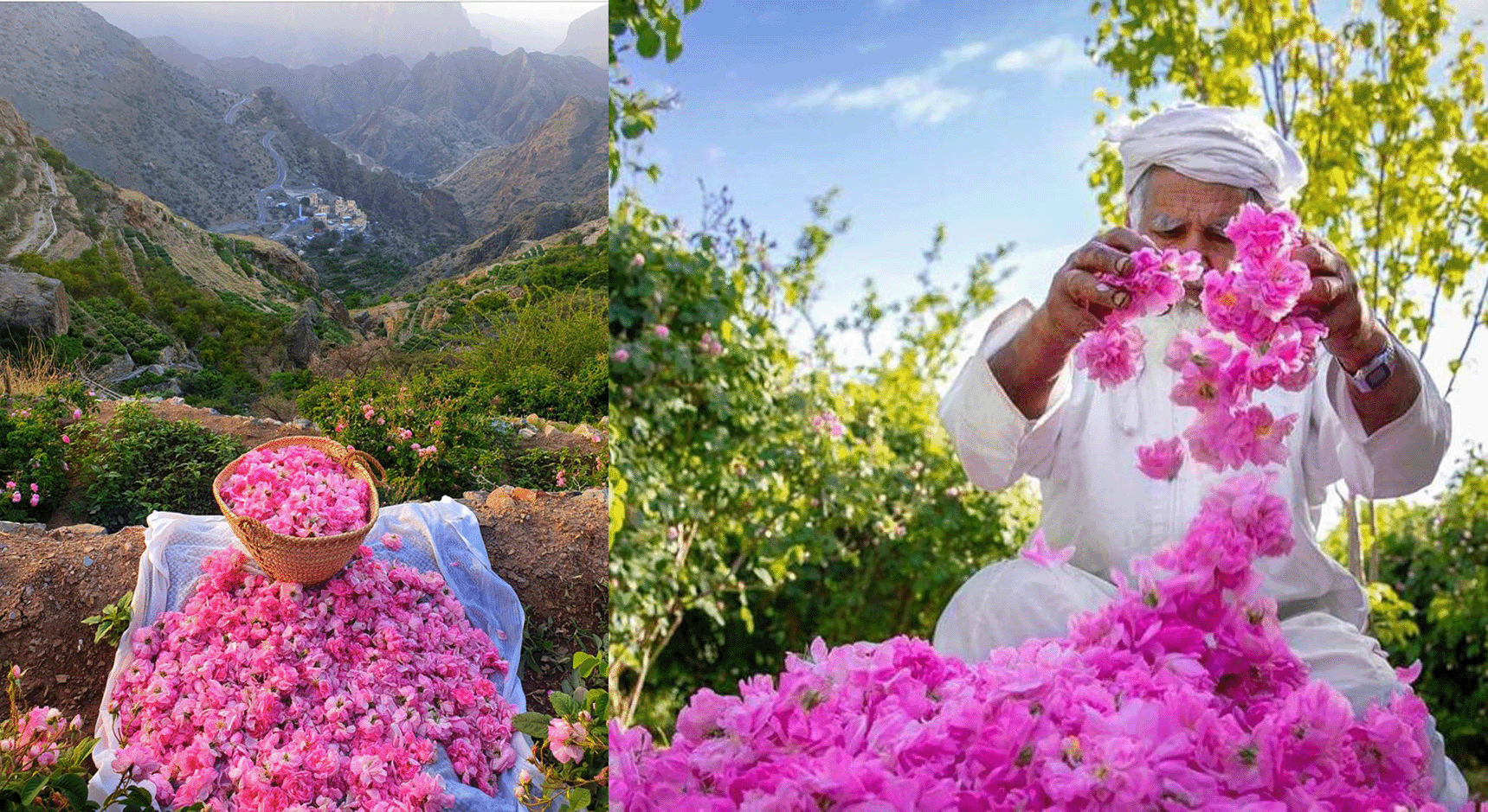 Jebel Akhdar One Day